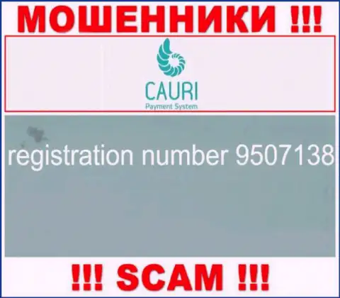 Номер регистрации, который принадлежит жульнической компании Каури - 9507138