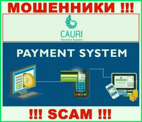 Мошенники Каури Ком, прокручивая свои делишки в области Payment system, лишают денег наивных людей