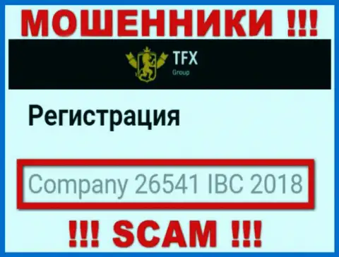 Регистрационный номер, принадлежащий мошеннической конторе TFX-Group Com - 26541 IBC 2018