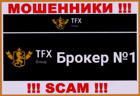 Не нужно доверять вложенные денежные средства TFX Group, так как их сфера работы, FOREX, развод