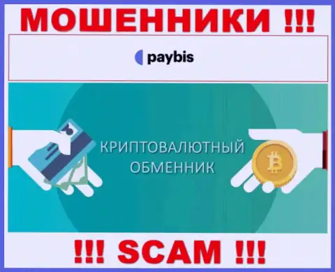 Крипто обменник - это сфера деятельности противоправно действующей компании PayBis