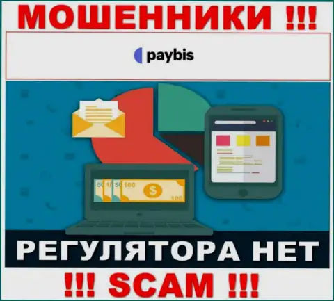 У PayBis Com на сайте не найдено информации об регулирующем органе и лицензии на осуществление деятельности организации, а следовательно их вообще нет