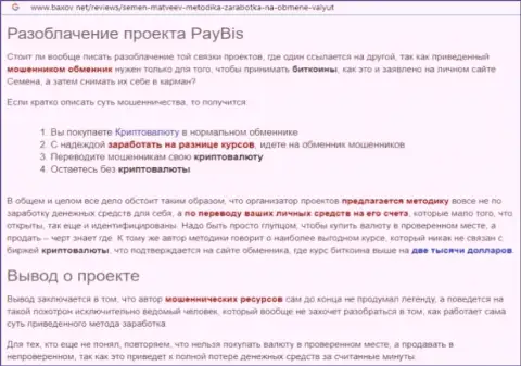 PayBis Com денежные средства назад не возвращает, так что стараться не нужно (обзор)