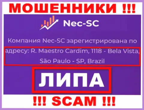 Где именно находится компания NEC SC непонятно, информация на web-сайте неправда