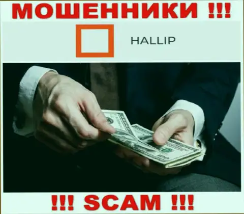 Рекомендуем бежать от организации Hallip Com как можно дальше, не поведитесь на условия совместного сотрудничества