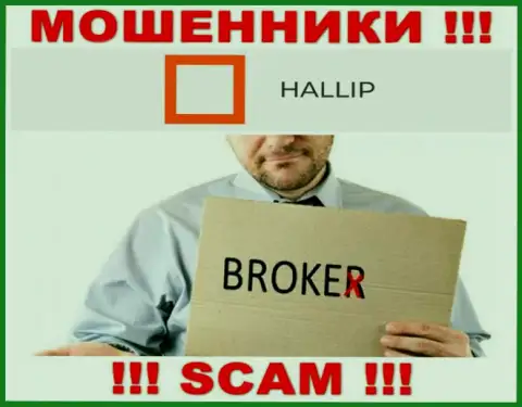Сфера деятельности шулеров Hallip - это Брокер, однако имейте ввиду это разводняк !!!