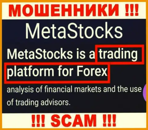 Деятельность мошенников MetaStocks Org: Торговая платформа - это капкан для малоопытных людей