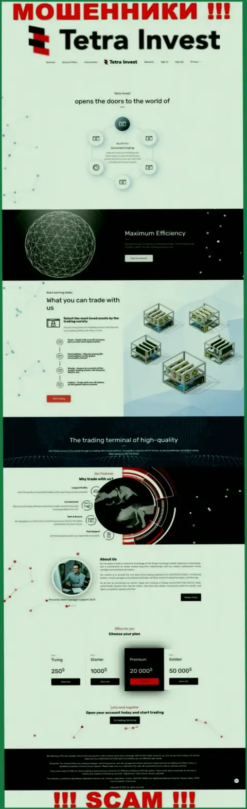 Сайт мошенников Тетра Инвест - Тетра-Инвест Ко замануха для лохов