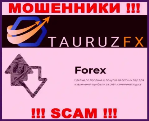Форекс - это конкретно то, чем занимаются интернет-махинаторы Тауруз ФХ