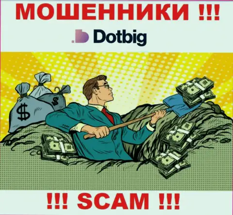 Dot Big работает только на ввод денежных средств, посему не нужно вестись на дополнительные вливания