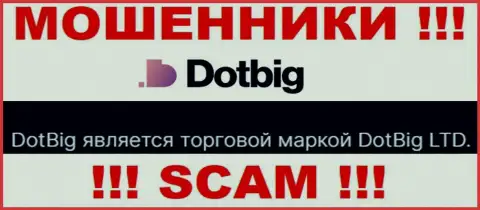 DotBig Com - юр лицо internet разводил организация DotBig LTD