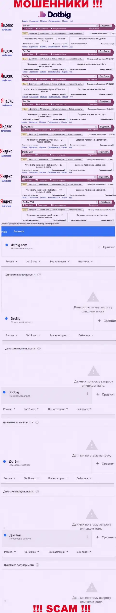 Статистические сведения о брендовых онлайн-запросах в отношении аферистов Dot Big