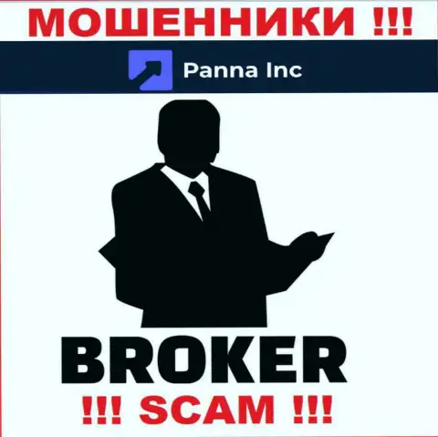 Брокер - конкретно в указанном направлении предоставляют свои услуги интернет-мошенники Panna Inc
