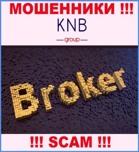 Направление деятельности мошеннической компании KNB-Group Net - Broker