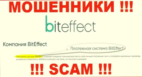 Будьте крайне осторожны, род работы Bit Effect, Система платежей - лохотрон !!!