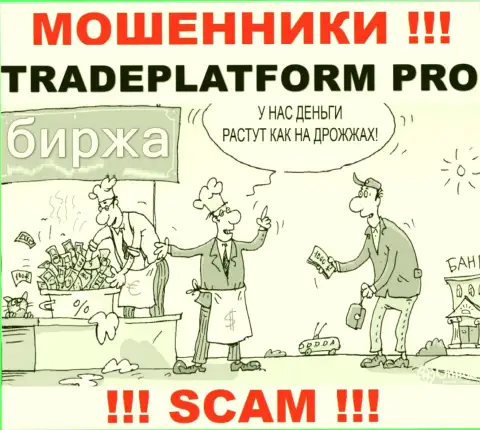 Прибыль с брокерской организацией TradePlatform Pro вы не получите - довольно рискованно заводить дополнительные денежные средства