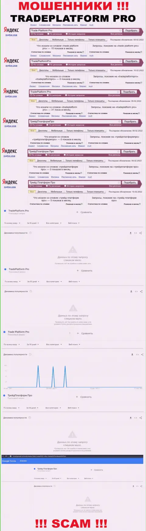 Суммарное число поисковых запросов в поисковиках всемирной интернет паутины по бренду махинаторов Trade Platform Pro