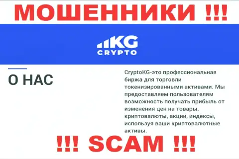 Крипто трейдинг - это сфера деятельности, в которой мошенничают CryptoKG Com