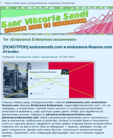 Стоит ли совместно работать с организацией Эндуранс Энтеррисес ? (Обзор организации)