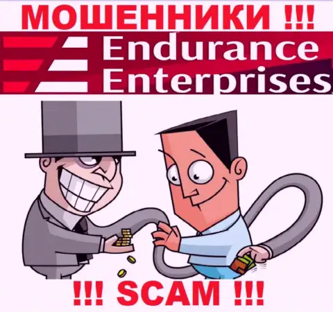 Заработок с дилинговым центром Endurance FX Вы не увидите - довольно-таки опасно вводить дополнительно денежные активы