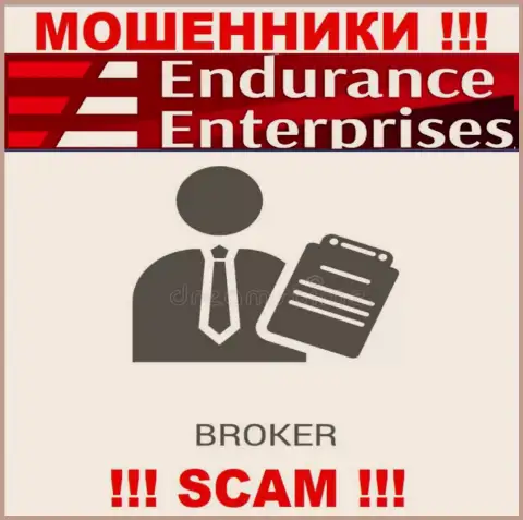 Endurance Enterprises не внушает доверия, Брокер - это конкретно то, чем заняты данные интернет воры