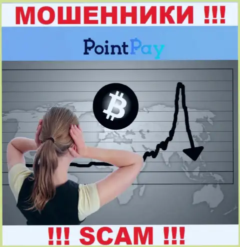 Контора Point Pay работает только на прием денежных средств, с ними Вы абсолютно ничего не сумеете заработать