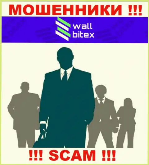 Абсолютно никаких данных о своем непосредственном руководстве, ворюги WallBitex не сообщают