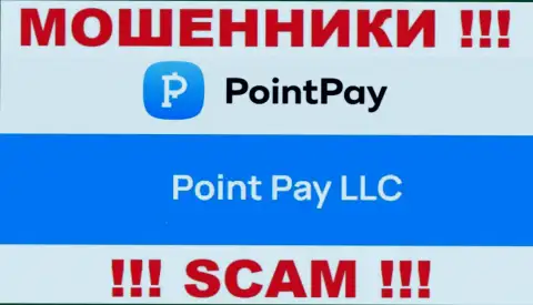 Организация Point Pay находится под управлением компании Поинт Пэй ЛЛК