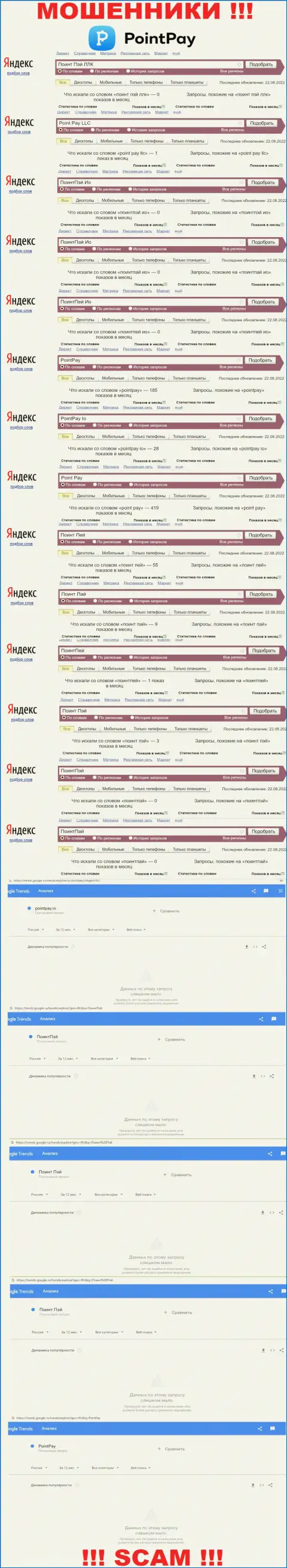 Статистические показатели суммарного числа просмотров сведений о мошенниках Поинт Пей в сети интернет