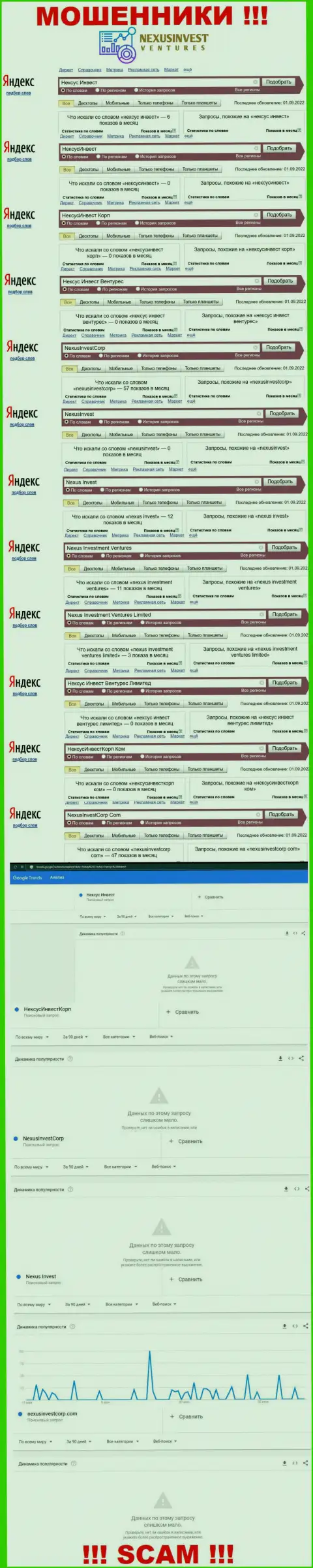 Статистика брендовых онлайн-запросов по мошеннической компании Нексус Инвест