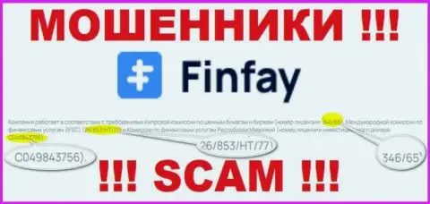 На веб-портале ФинФей Ком предоставлена лицензия, но это ушлые мошенники - не надо доверять им