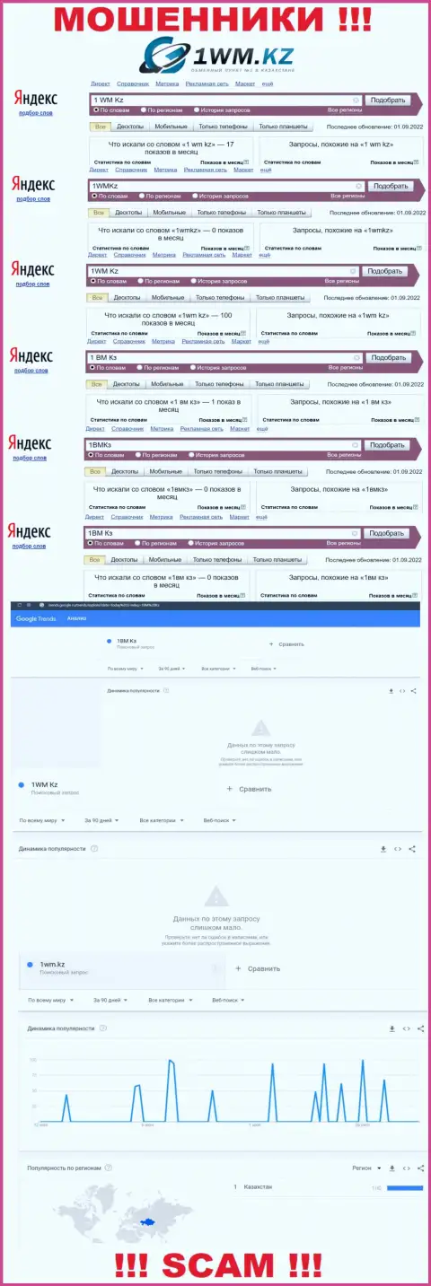 Детальный анализ интернет запросов по противозаконно действующей организации 1WM Kz