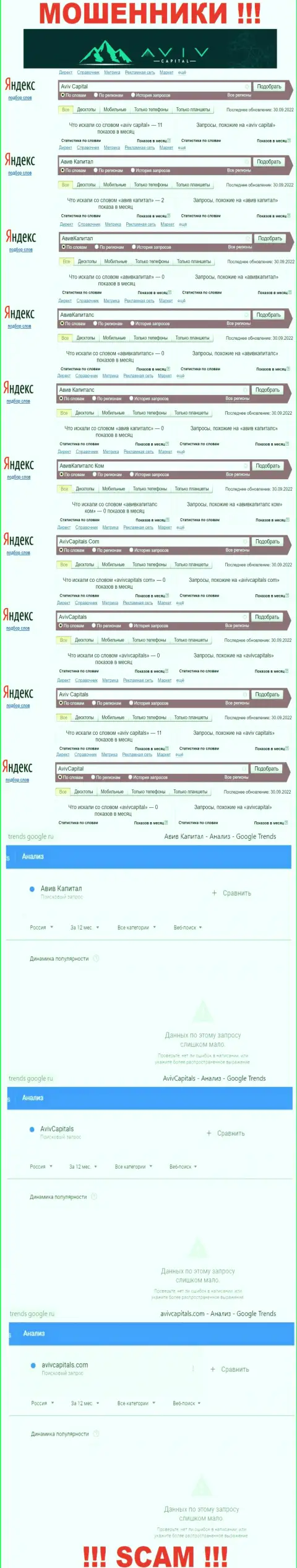 Статистика поиска информации о циничных аферистах Aviv Capitals