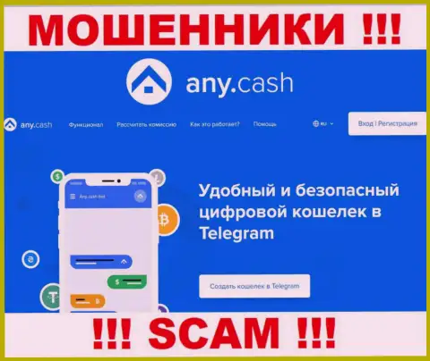 Совместно работать с Any Cash слишком рискованно, поскольку их сфера деятельности Крипто кошелёк - это обман