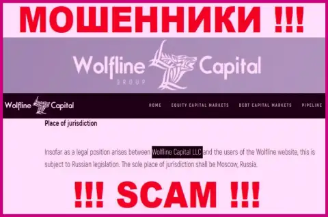 Юридическое лицо организации Wolfline Capital - это ООО Волфлайн Кэпитал