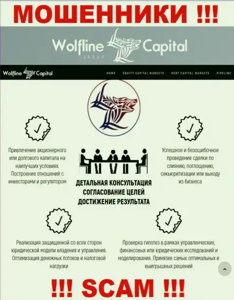 Не стоит верить, что область работы Wolfline Capital - Финансовый консалтинг легальна - это развод