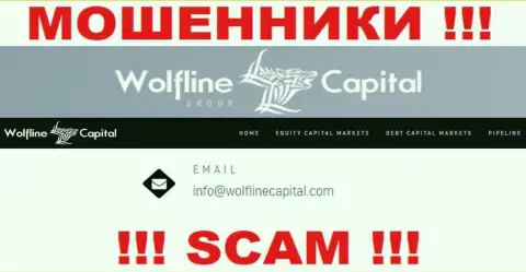 ВОРЫ Wolfline Capital засветили у себя на сайте электронную почту компании - писать очень опасно