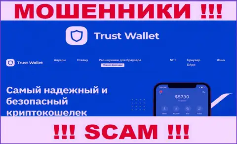 Что касательно области деятельности Trust Wallet (Цифровой кошелек) - это сто процентов разводняк